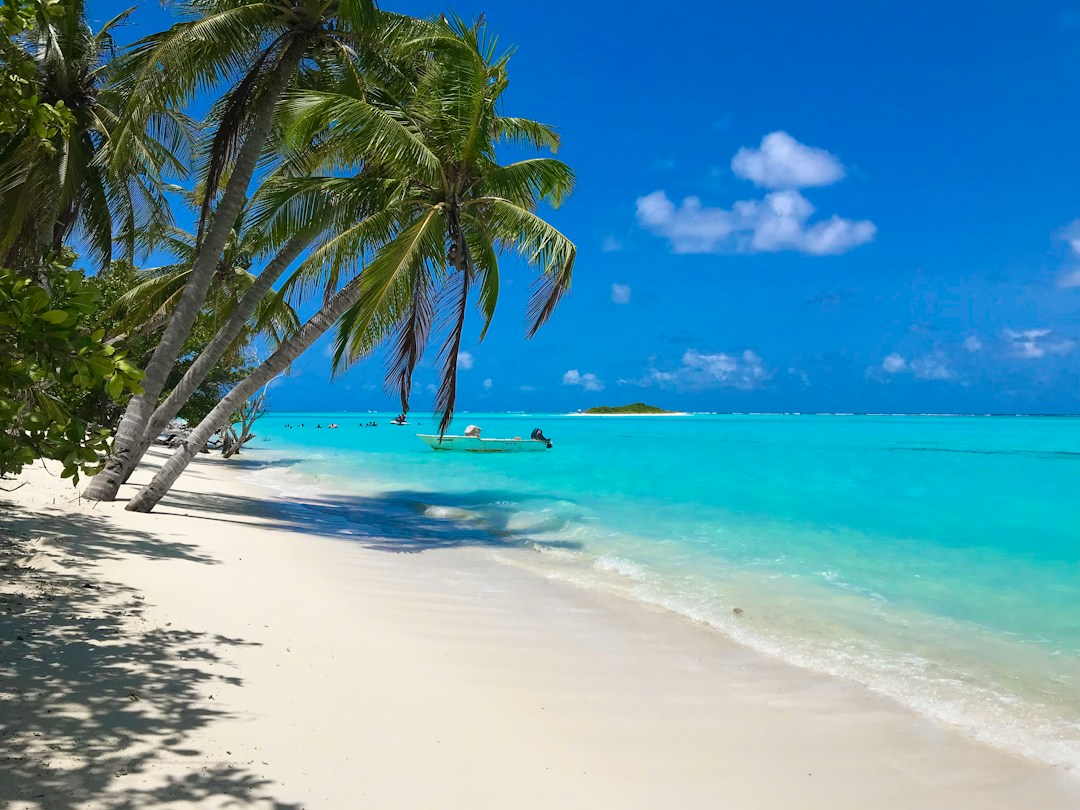 Holiday Packages